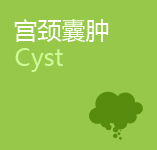 宫颈囊肿