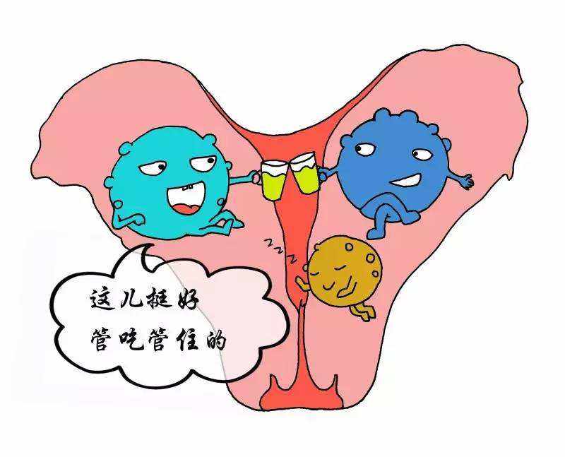 禄劝治疗阴道炎的好方法