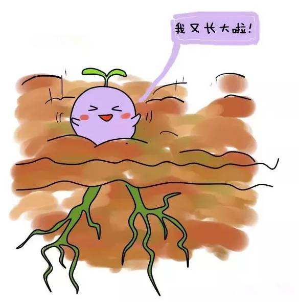 人工引产前需要注意